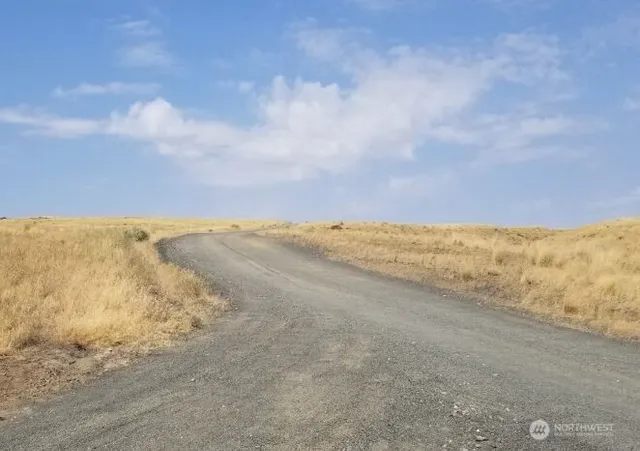 a view of beach and ocean