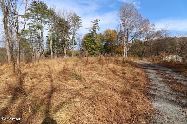 121 Masthope Plank Road Lackawaxen, PA 18435 - Photo 4 of 8