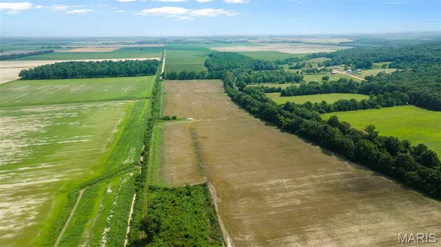 $598,805 | 25182 State Hwy AB, Essex, MO 63846