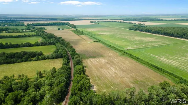 $598,805 | 25182 State Hwy AB, Essex, MO 63846