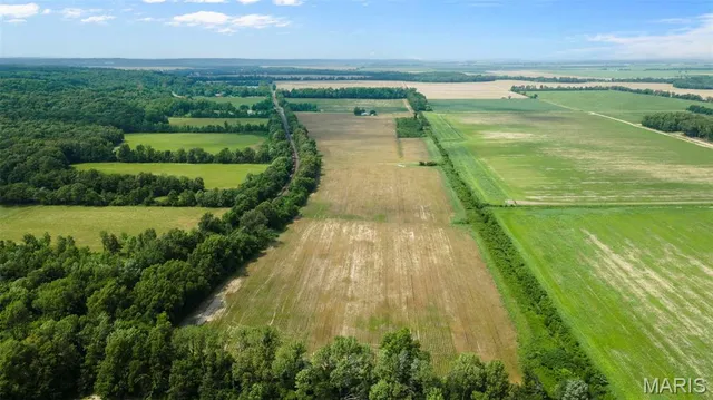 $598,805 | 25182 State Hwy AB, Essex, MO 63846