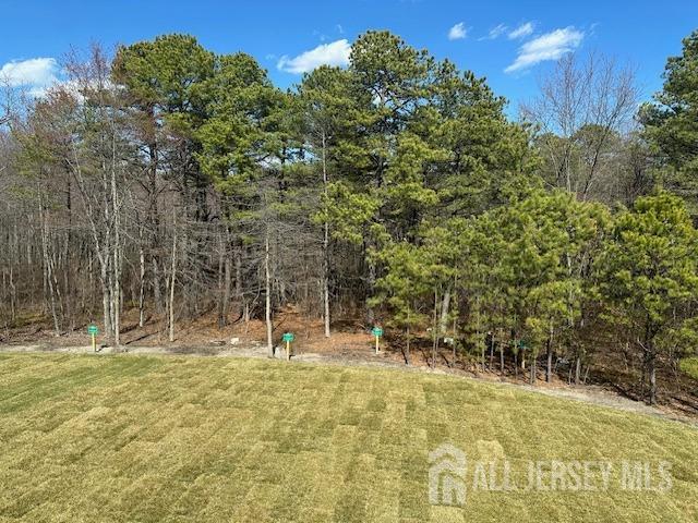 2 Aster Circle Old Bridge, NJ 08857 - Photo 56 of 60 a backyard of a house with lots of green space and fountain