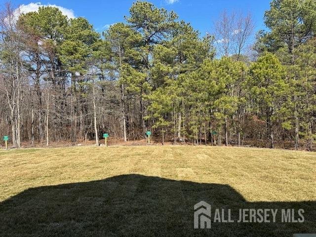 2 Aster Circle Old Bridge, NJ 08857 - Photo 59 of 60 a view of a yard with large trees