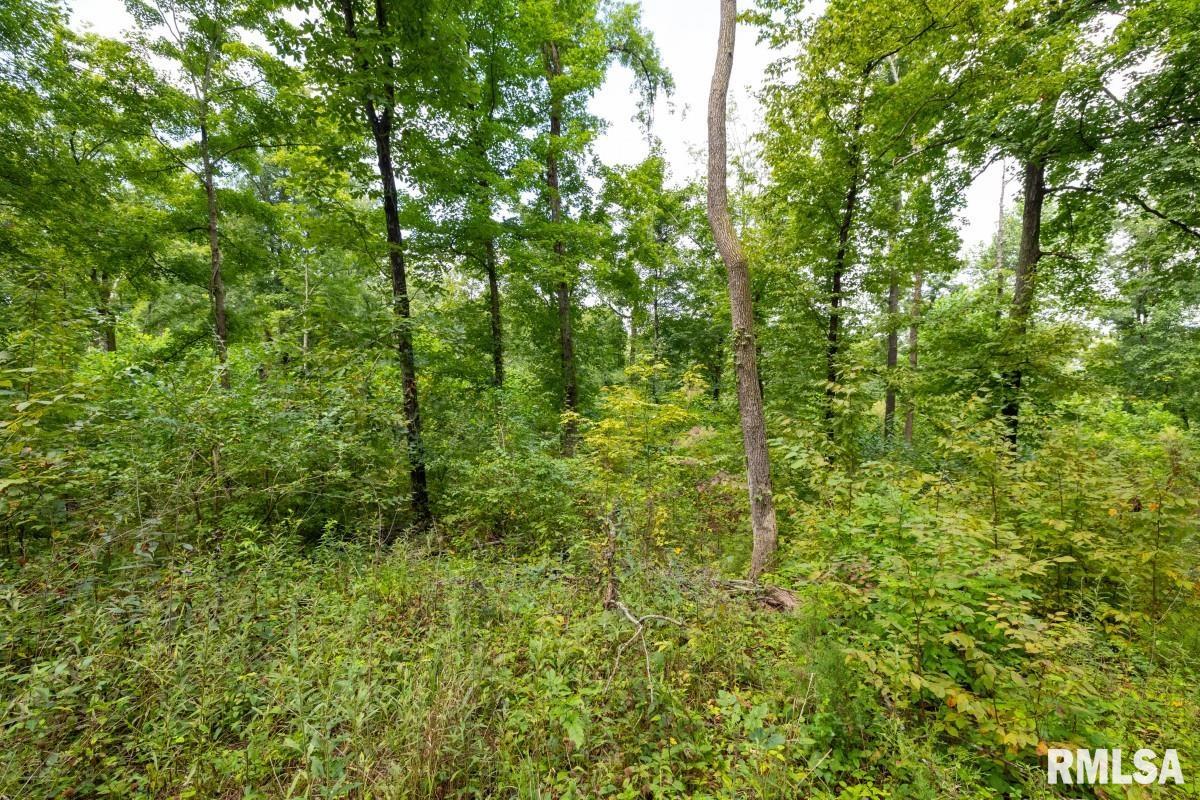 0 Hawkins Road Vienna, IL 62995 - Photo 12 of 36 Gallery Image 12
