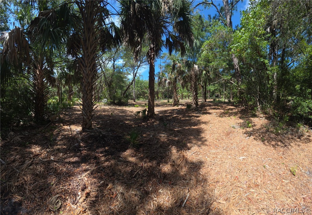 11345 North Moonlight Terrace Inglis, FL 34449 - Photo 5 of 11