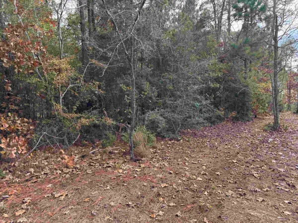 $54,000 | 22 Post Oak Lane, Brookeland, TX 75931