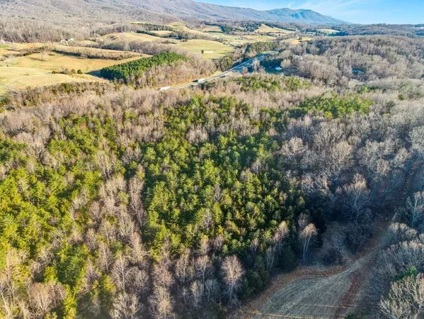 $179,950 | 0 Lee Highway, Buchanan, VA 24066