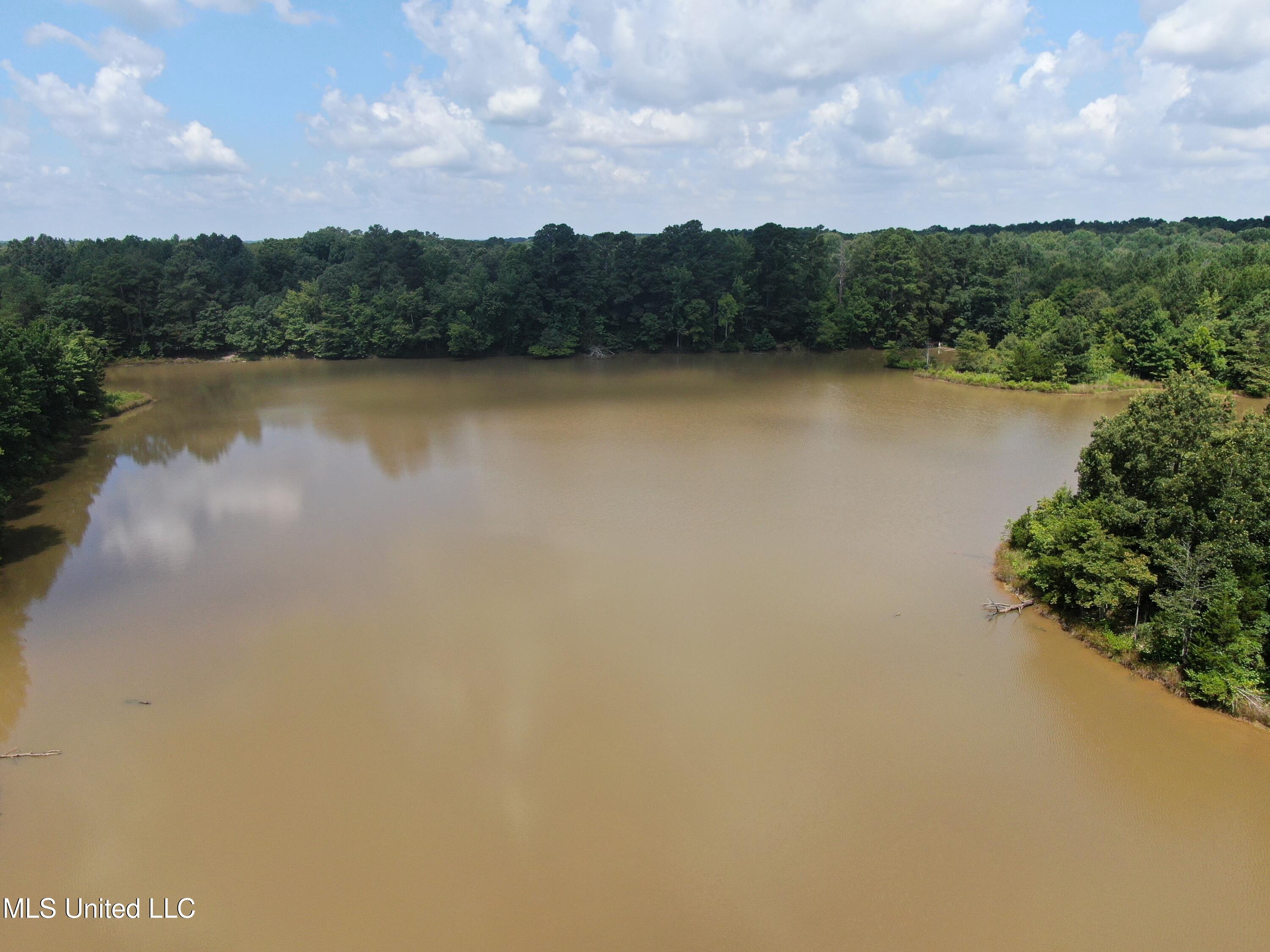 0 East Cox Road Byhalia, MS 38611 - Photo 13 of 28 DJI_0630