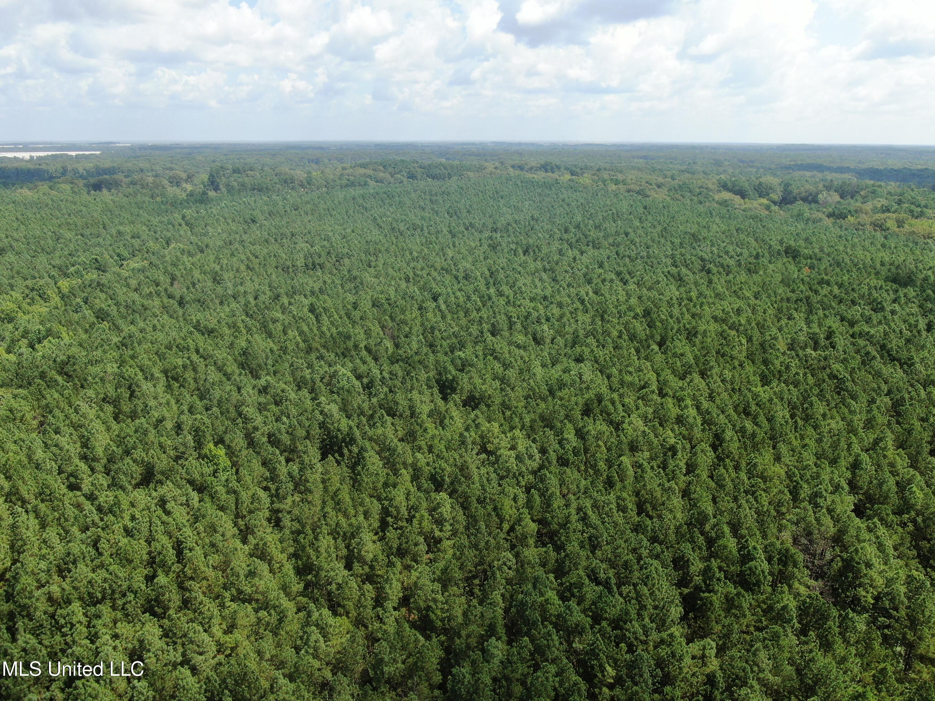 0 East Cox Road Byhalia, MS 38611 - Photo 15 of 28 DJI_0632