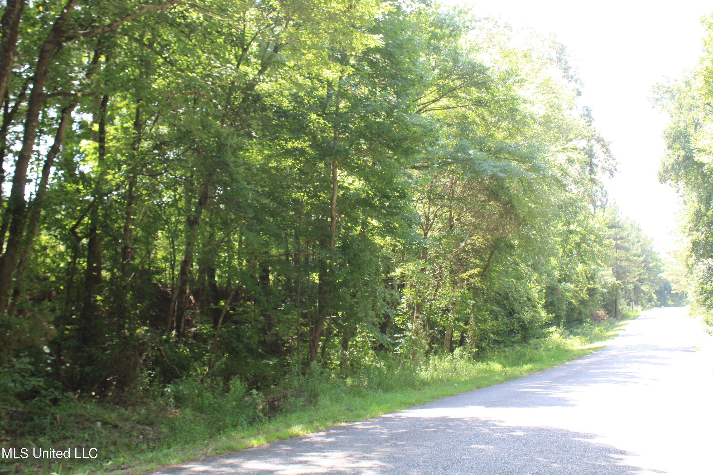 0 East Cox Road Byhalia, MS 38611 - Photo 19 of 28 IMG_6329