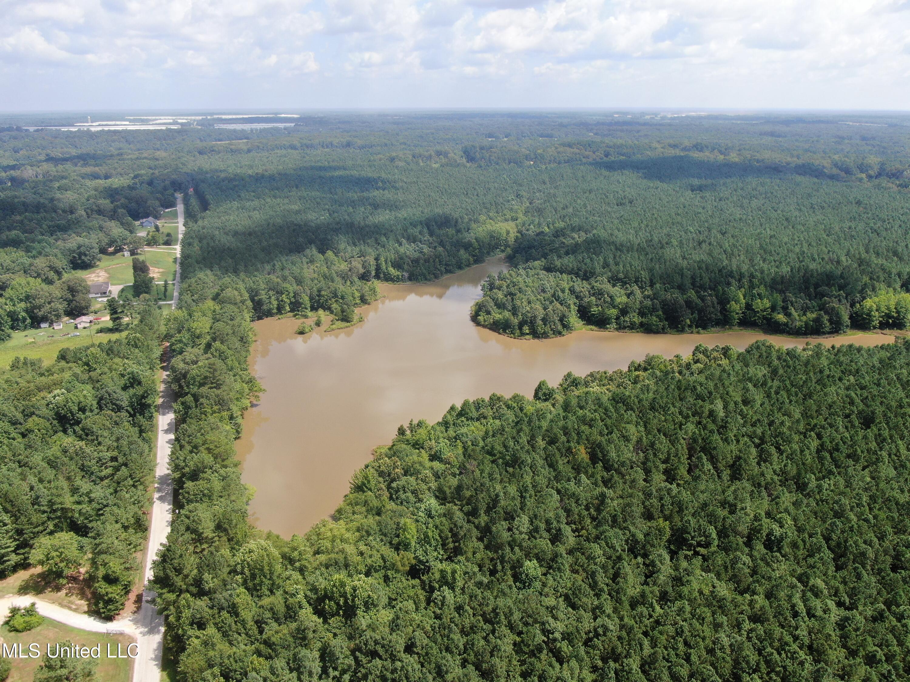 0 East Cox Road Byhalia, MS 38611 - Photo 2 of 28 DJI_0618