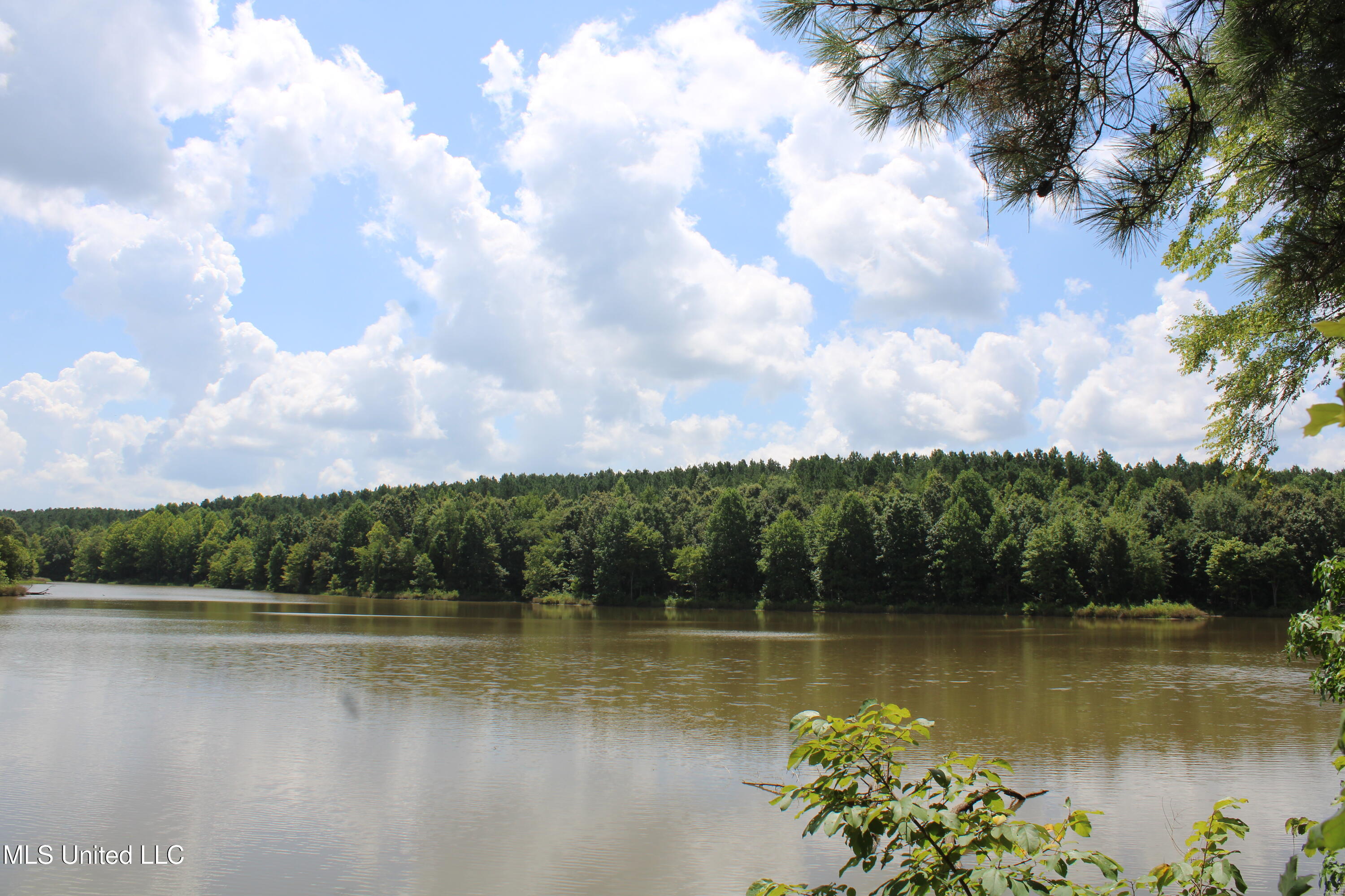 0 East Cox Road Byhalia, MS 38611 - Photo 21 of 28 IMG_6331