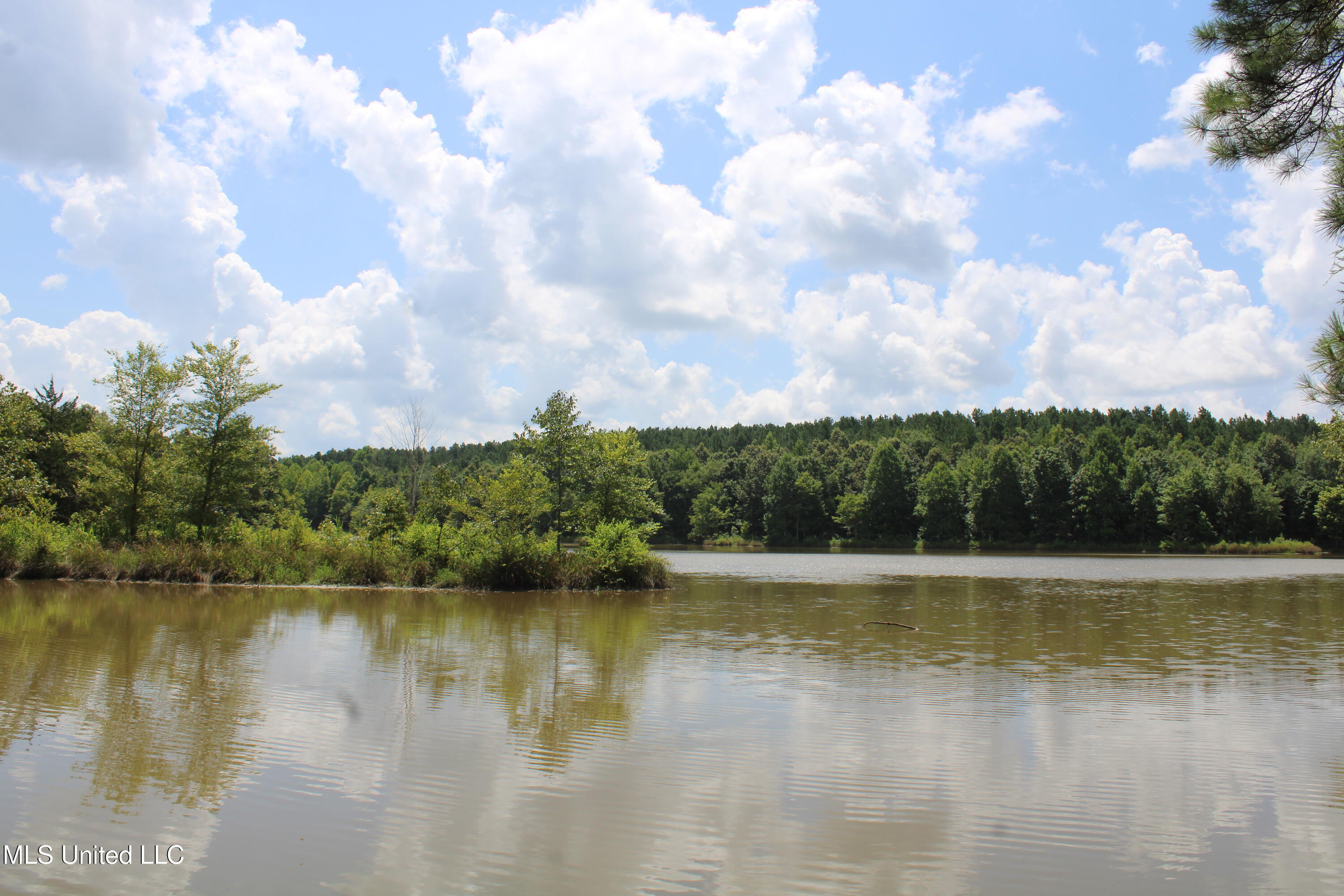 0 East Cox Road Byhalia, MS 38611 - Photo 22 of 28 IMG_6333