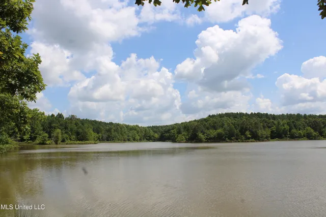 $1,681,000 | 0 East Cox Road, Byhalia, MS 38611