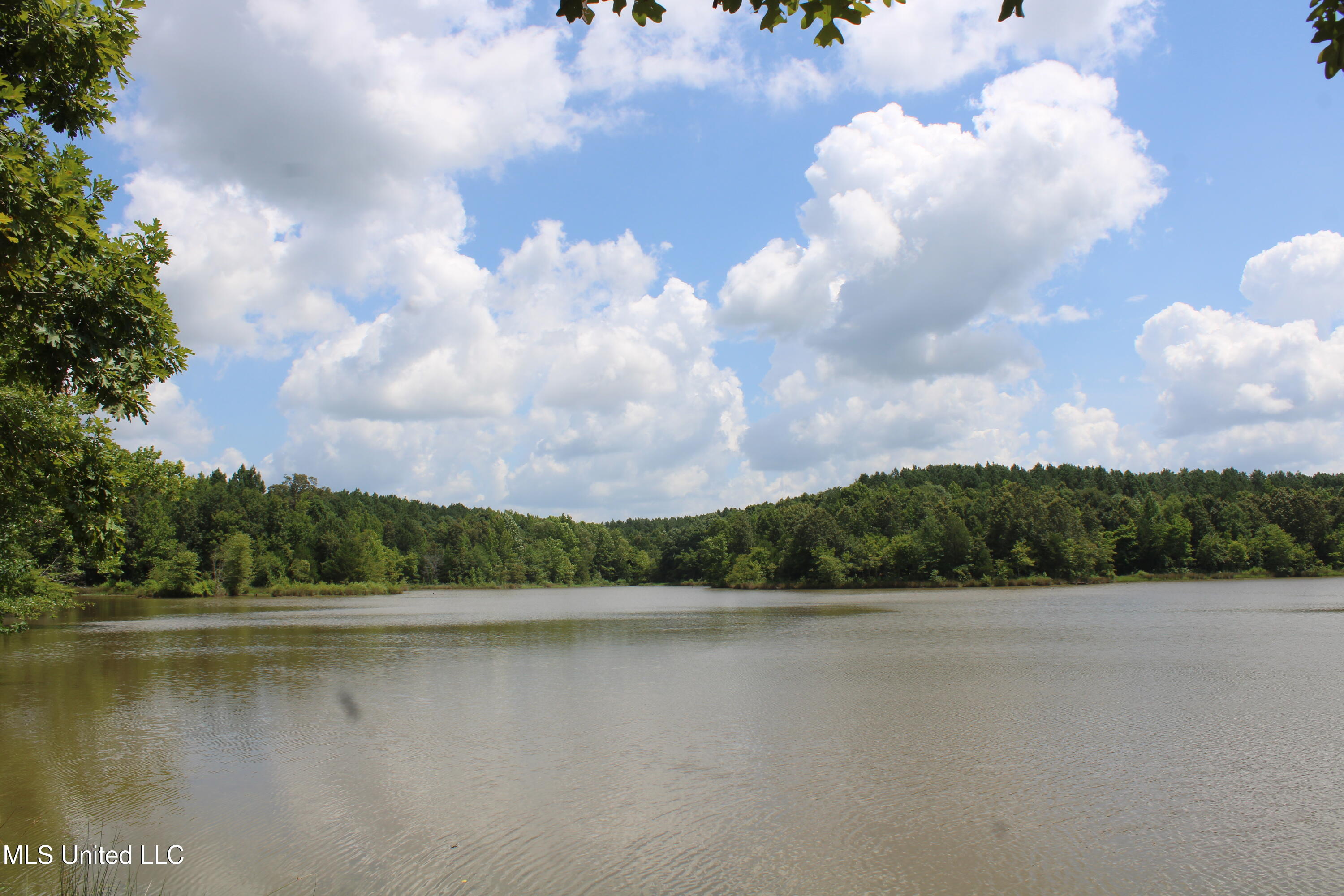 0 East Cox Road Byhalia, MS 38611 - Photo 24 of 28 IMG_6336