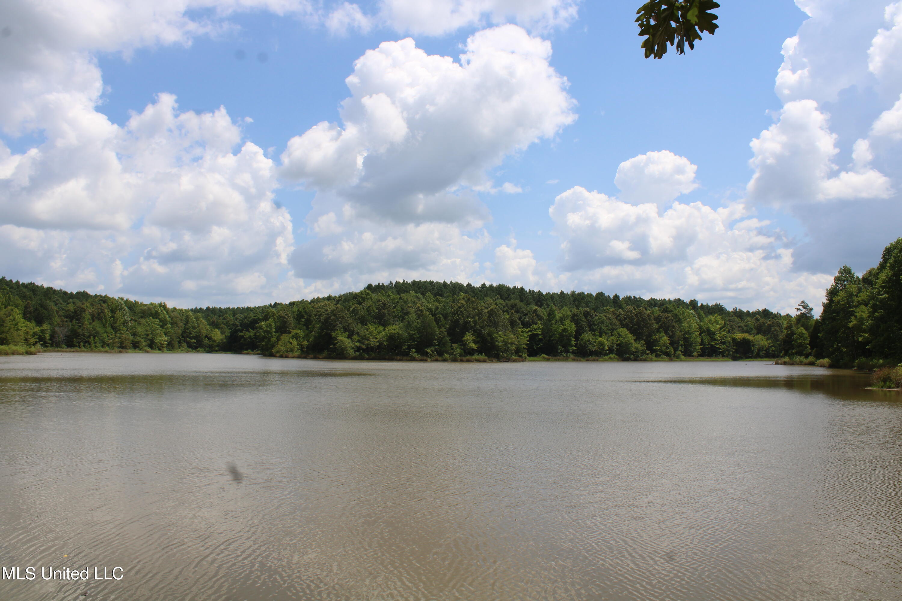 0 East Cox Road Byhalia, MS 38611 - Photo 25 of 28 IMG_6337