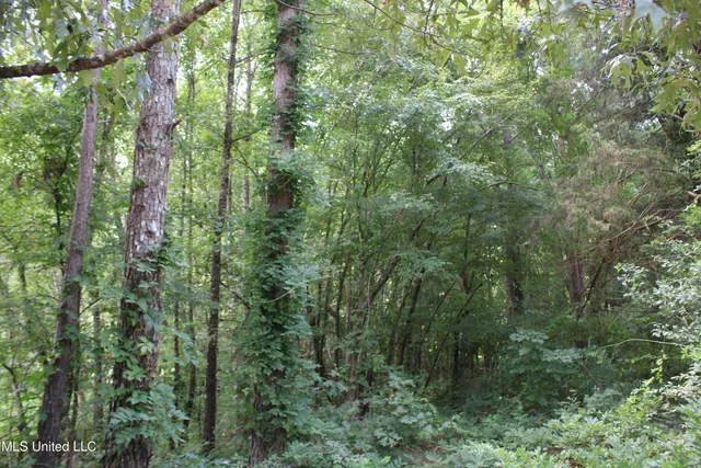 $1,681,000 | 0 East Cox Road, Byhalia, MS 38611