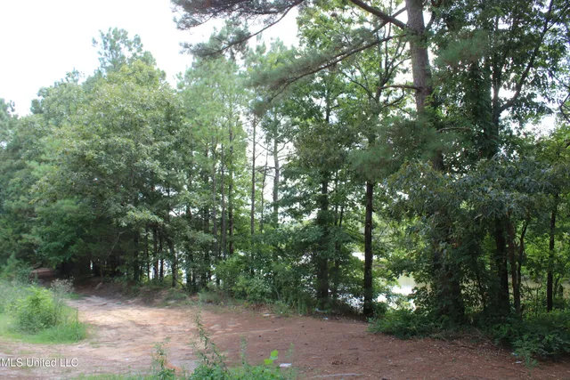 $1,681,000 | 0 East Cox Road, Byhalia, MS 38611