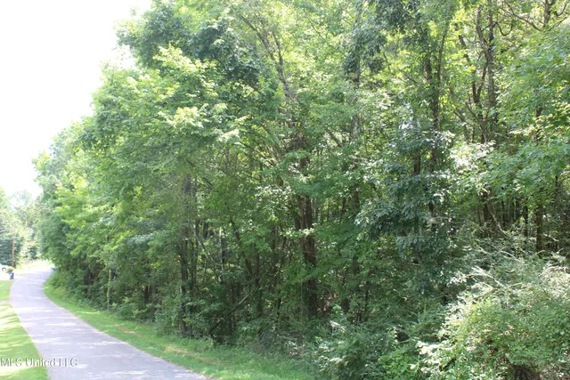 $1,681,000 | 0 East Cox Road, Byhalia, MS 38611