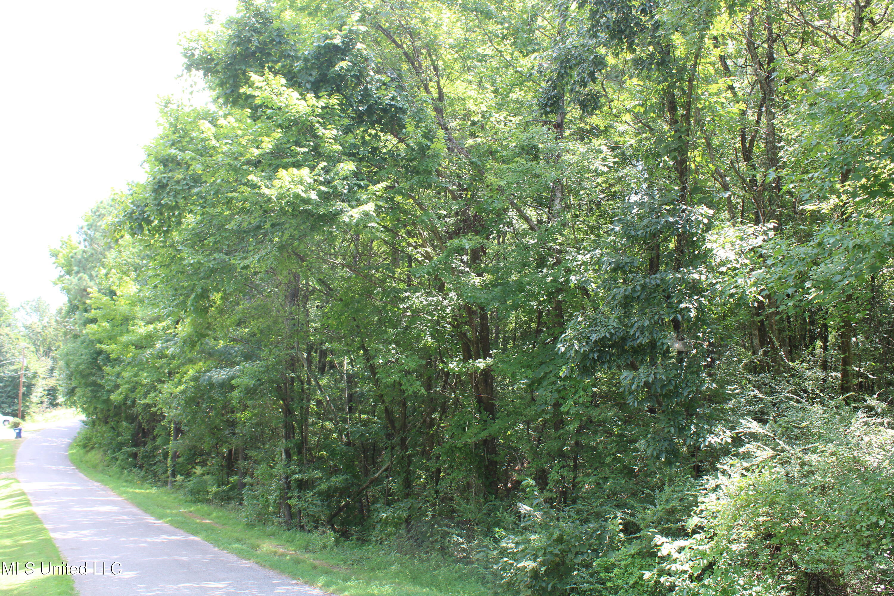 0 East Cox Road Byhalia, MS 38611 - Photo 28 of 28 IMG_6340