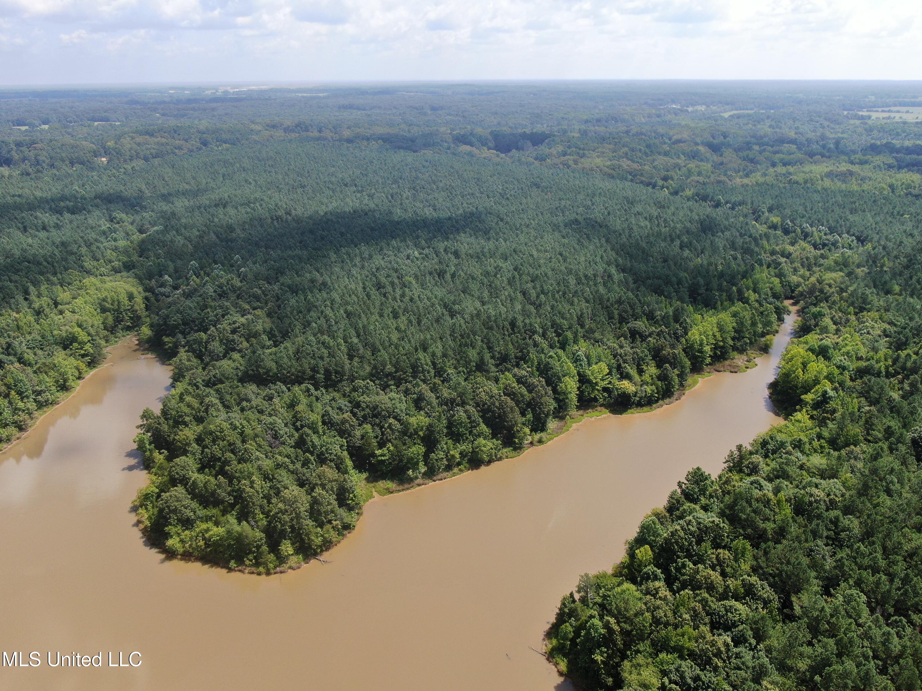 0 East Cox Road Byhalia, MS 38611 - Photo 3 of 28 DJI_0620