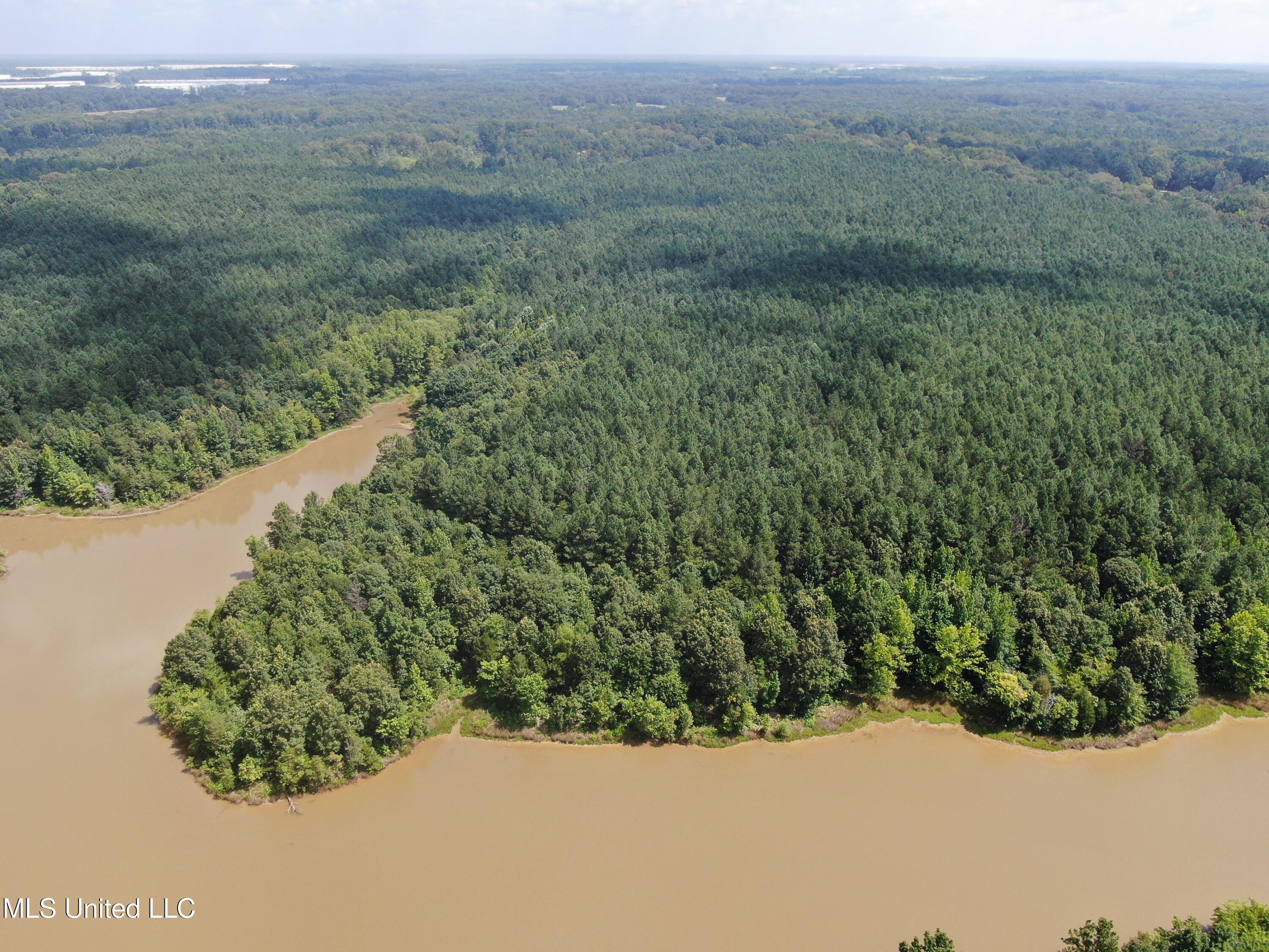 0 East Cox Road Byhalia, MS 38611 - Photo 4 of 28 DJI_0621