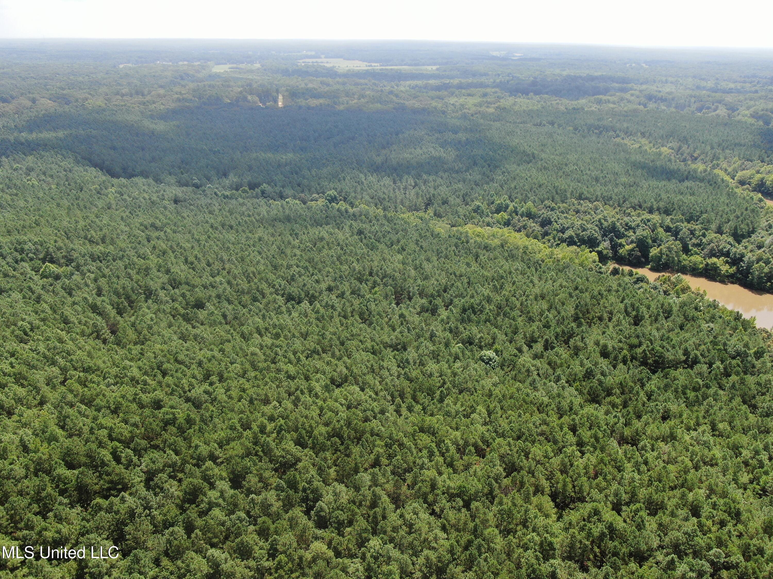 0 East Cox Road Byhalia, MS 38611 - Photo 8 of 28 DJI_0625