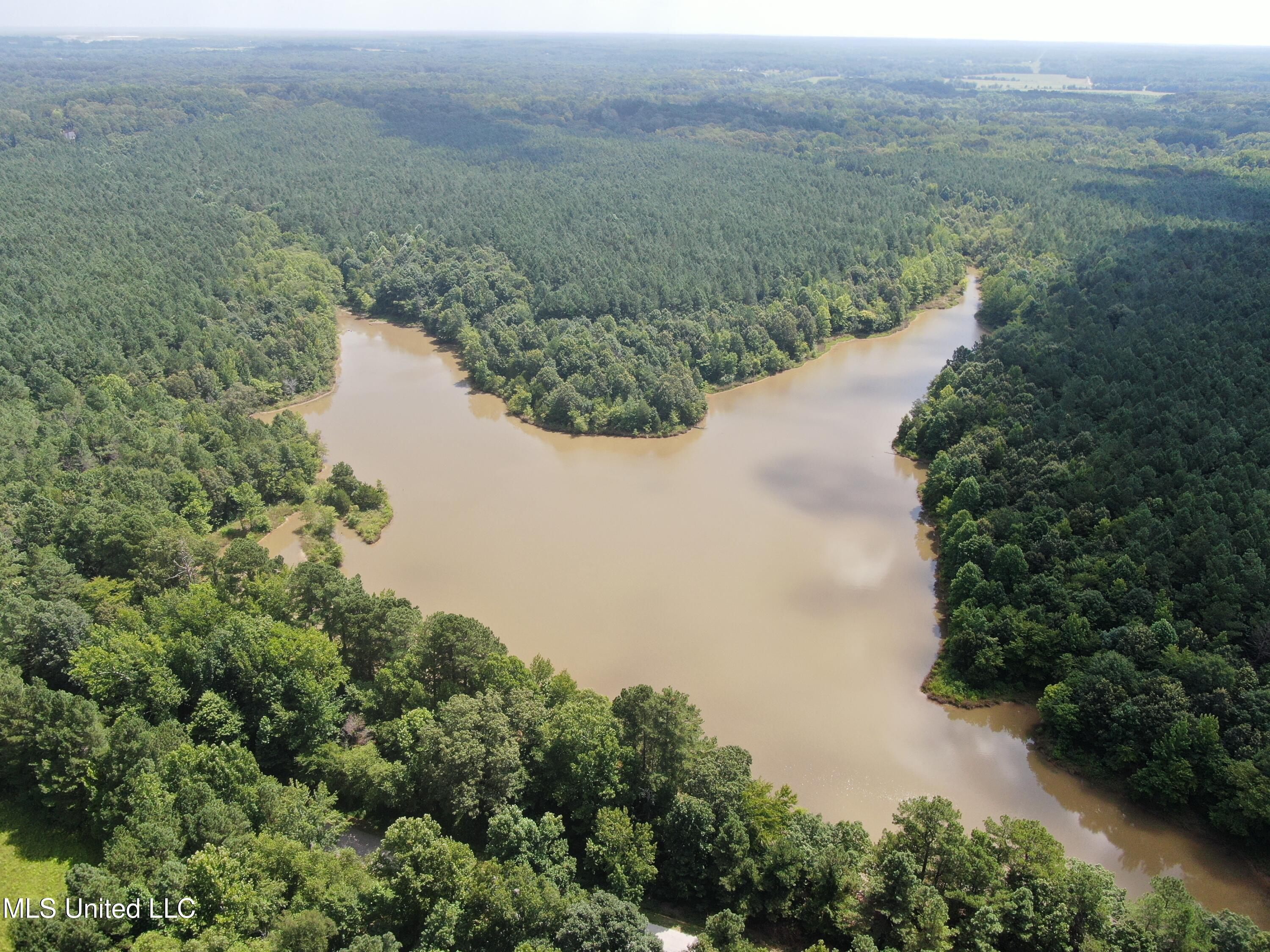 0 East Cox Road Byhalia, MS 38611 - Photo 10 of 28 DJI_0627