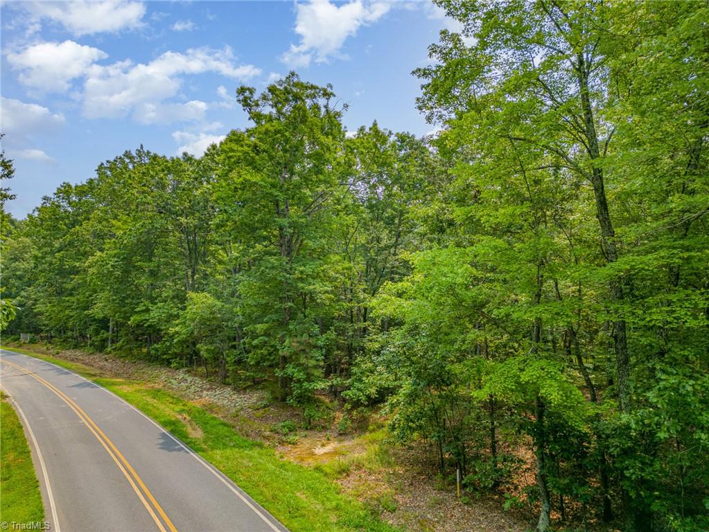 0 Mt Lebanon Road Troy, NC 27371 - Photo 3 of 11 Gallery Image 3