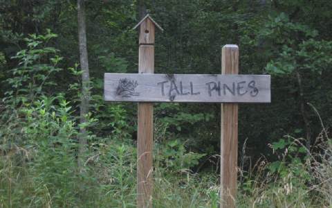 Lot 5 Tall Pines Road Northwest Rome, GA 30165 - Photo 1 of 1 Main View
