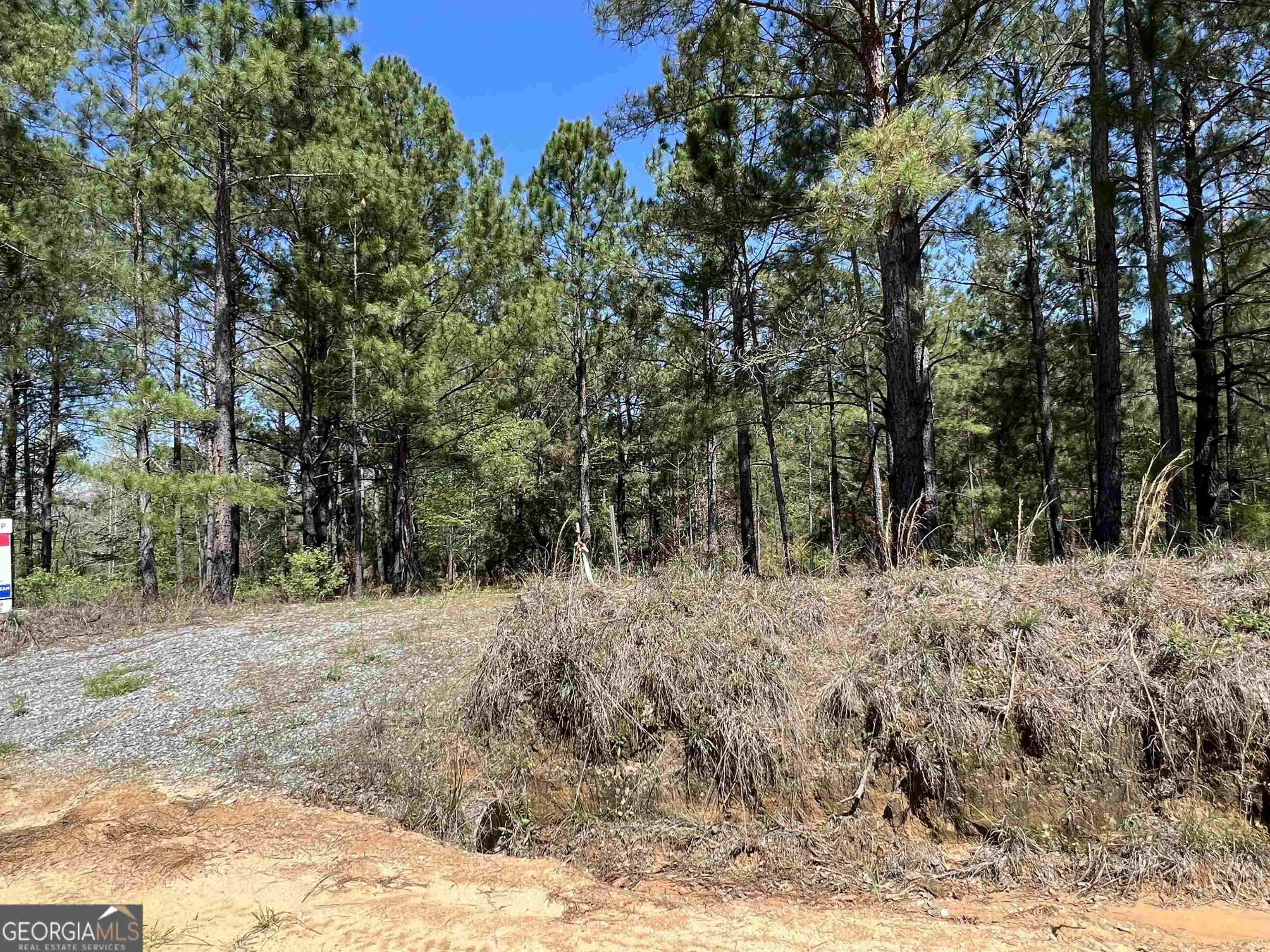 1620 Mayberry Road Dublin, GA 31021 - Photo 1 of 1 Gallery Image 1