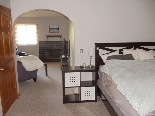 a bed room with a bed and a television