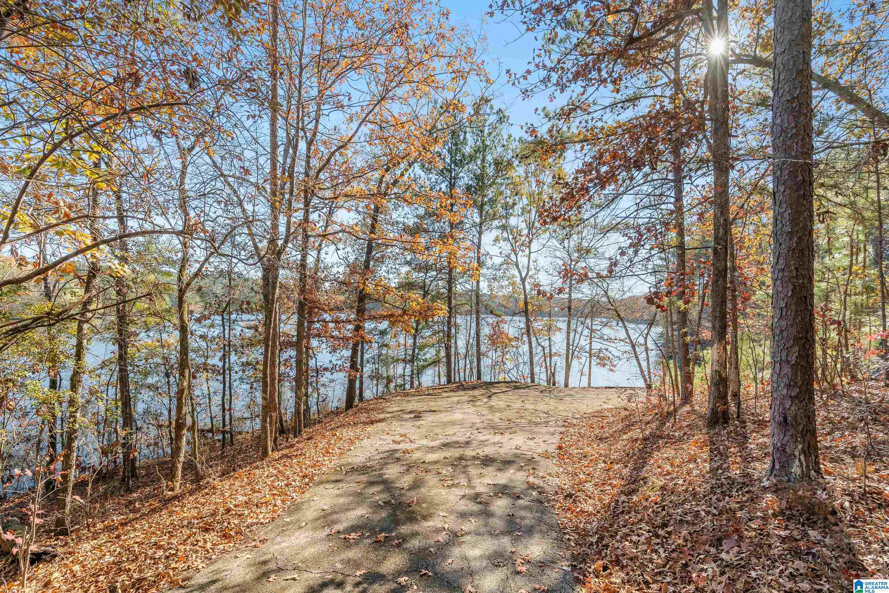 0 Pumpkin Hollow Road Sterrett, AL 35147 - Photo 12 of 55