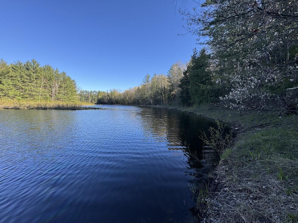 Lot 9 V/l Wildwood Road Alger, MI 48610 - Photo 2 of 40 1