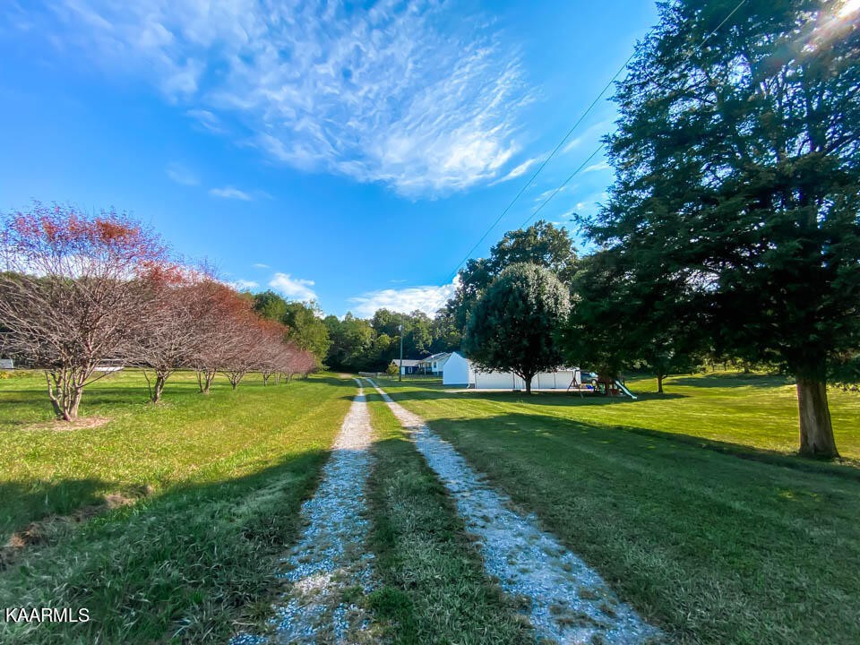489 Stoutown Road Blaine, TN 37709 - Photo 25 of 47 Gallery Image 25