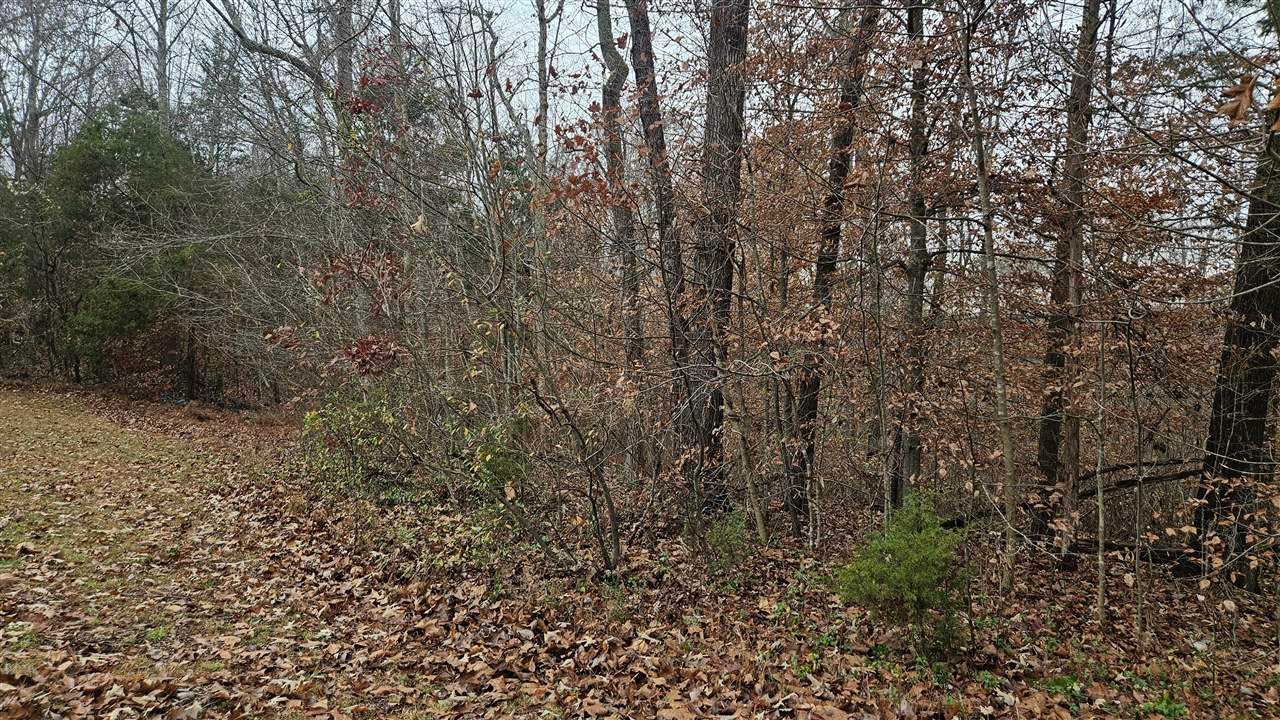 804 Bill Pedigo Road Edmonton, KY 42129 - Photo 23 of 29 Gallery Image 23