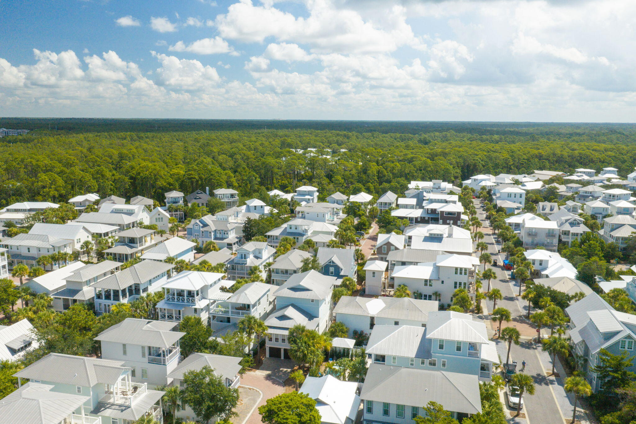 181 West Seacrest Beach Blvd Inlet Beach Inlet Beach, FL 32461 - Photo 81 of 88 106-web-or-mls-DJI_20260813103251_0295_D