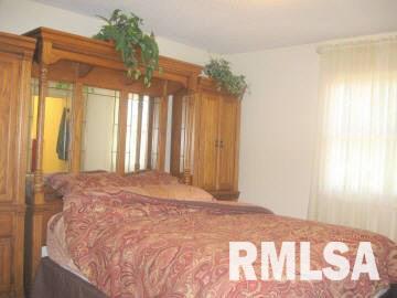 20216 Corinth Road Pittsburg, IL 62974 - Photo 11 of 11 Gallery Image 11