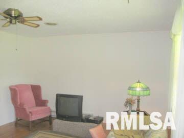 20216 Corinth Road Pittsburg, IL 62974 - Photo 10 of 11 Gallery Image 10