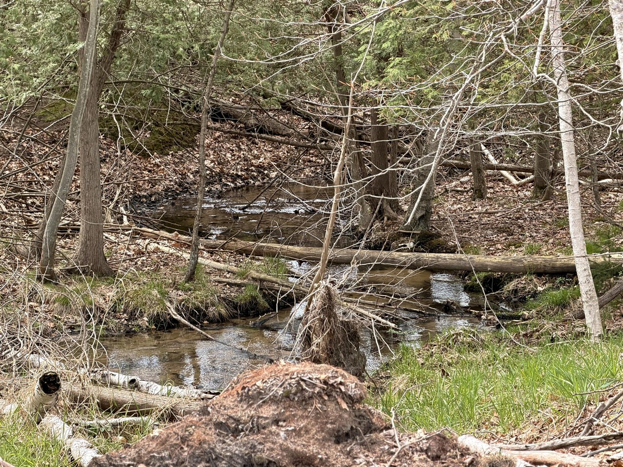 Vl South County Line Road Manistee, MI 49660 - Photo 8 of 23