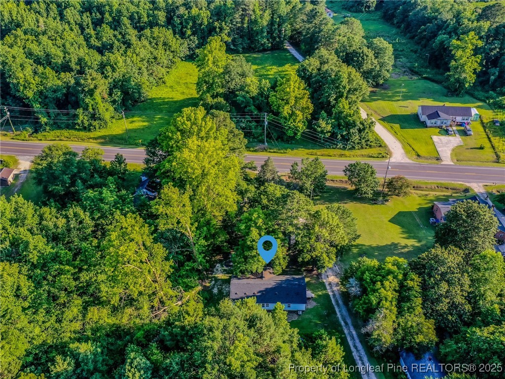 40 Ella Bell Road Clarkton, NC 28433 - Photo 2 of 49 Gallery Image 2