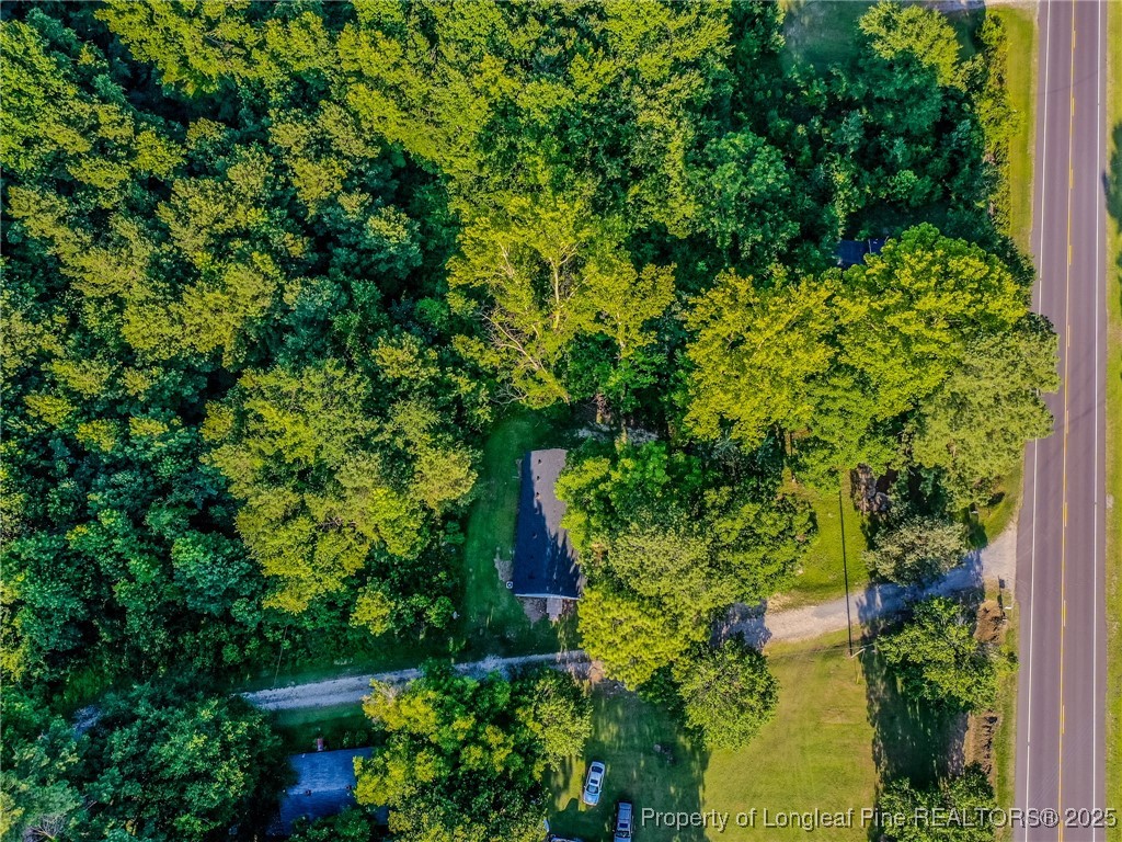 40 Ella Bell Road Clarkton, NC 28433 - Photo 48 of 49 Gallery Image 48