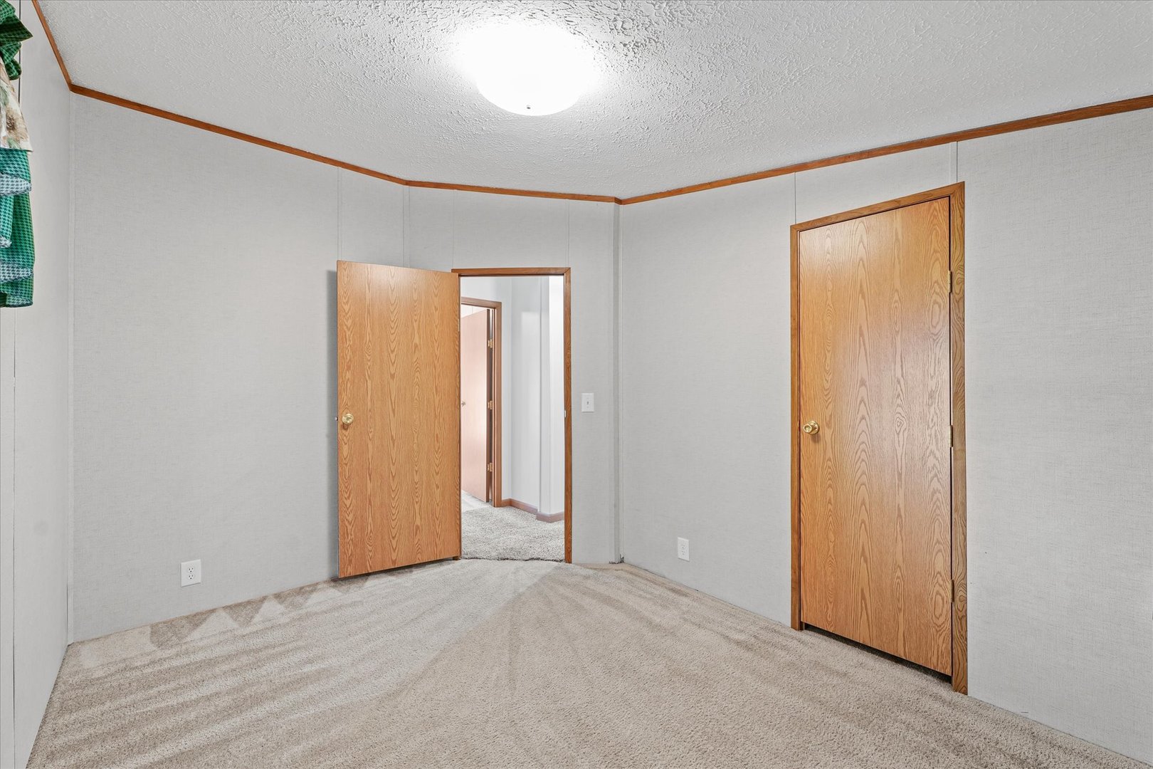 101 Railroad Street Sidell, IL 61876 - Photo 21 of 31