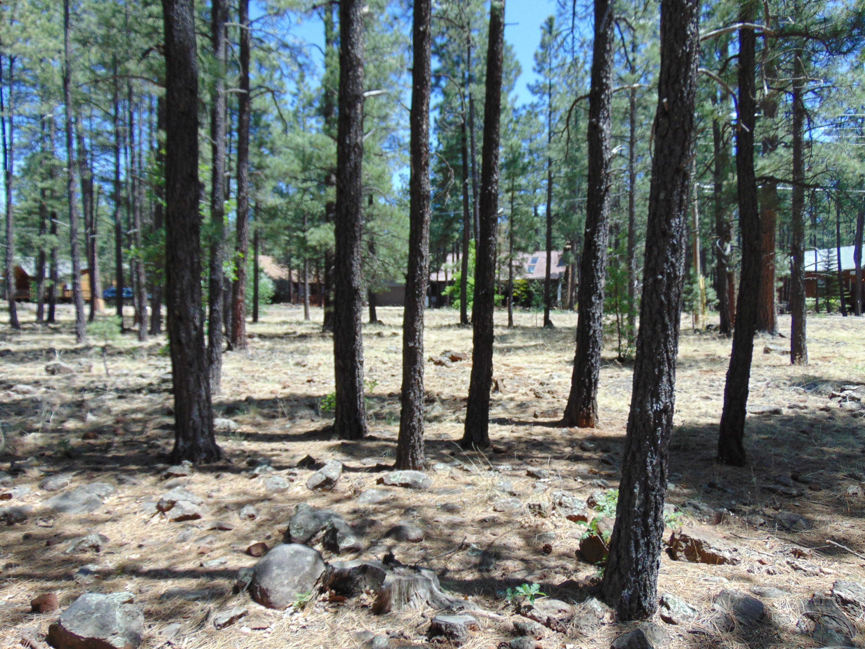7724 Buck Springs Road Pinetop, AZ 85935 - Photo 6 of 8 Gallery Image 6