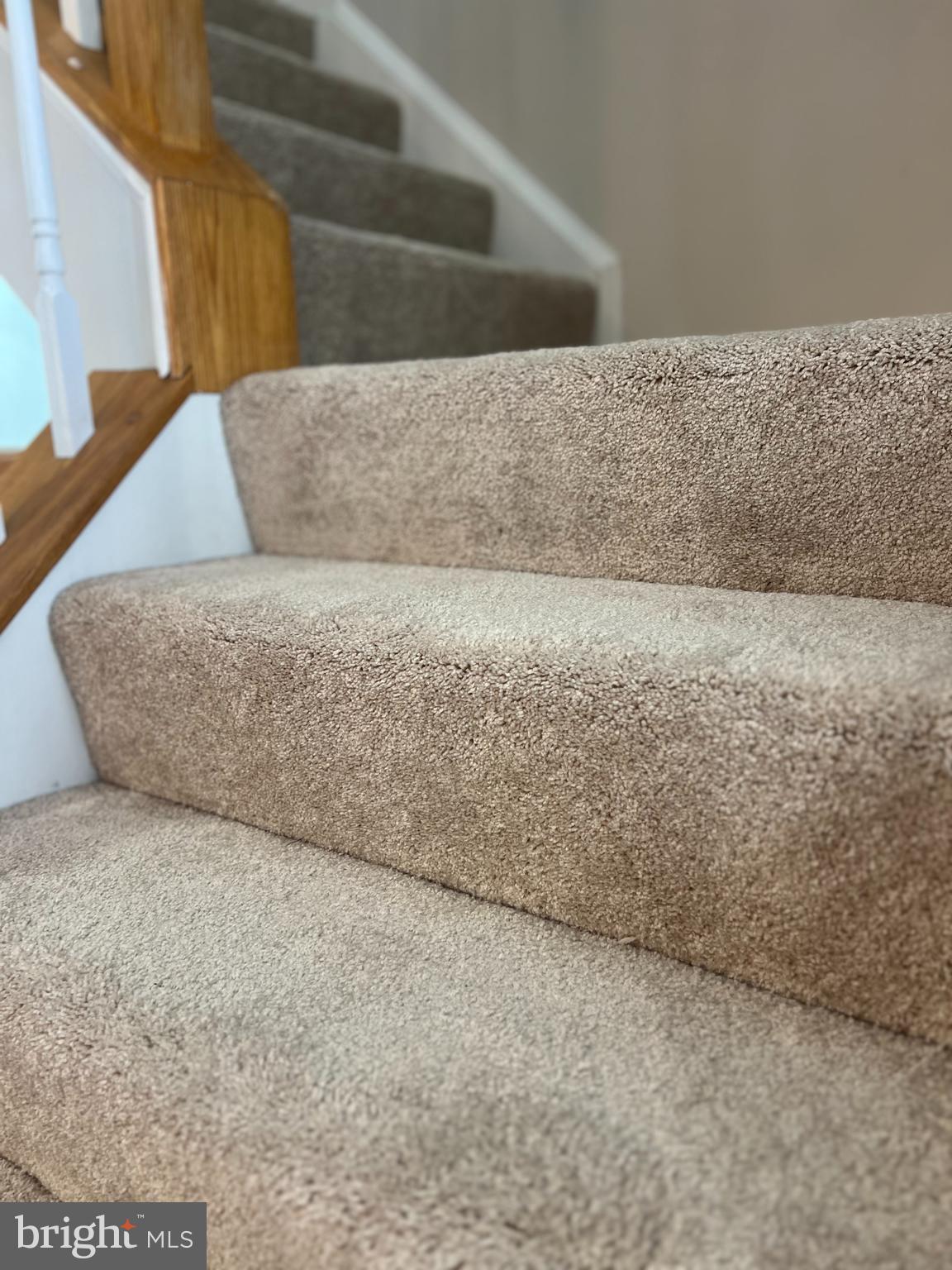 15153 Deer Valley Terrace Silver Spring, MD 20906 - Photo 25 of 43