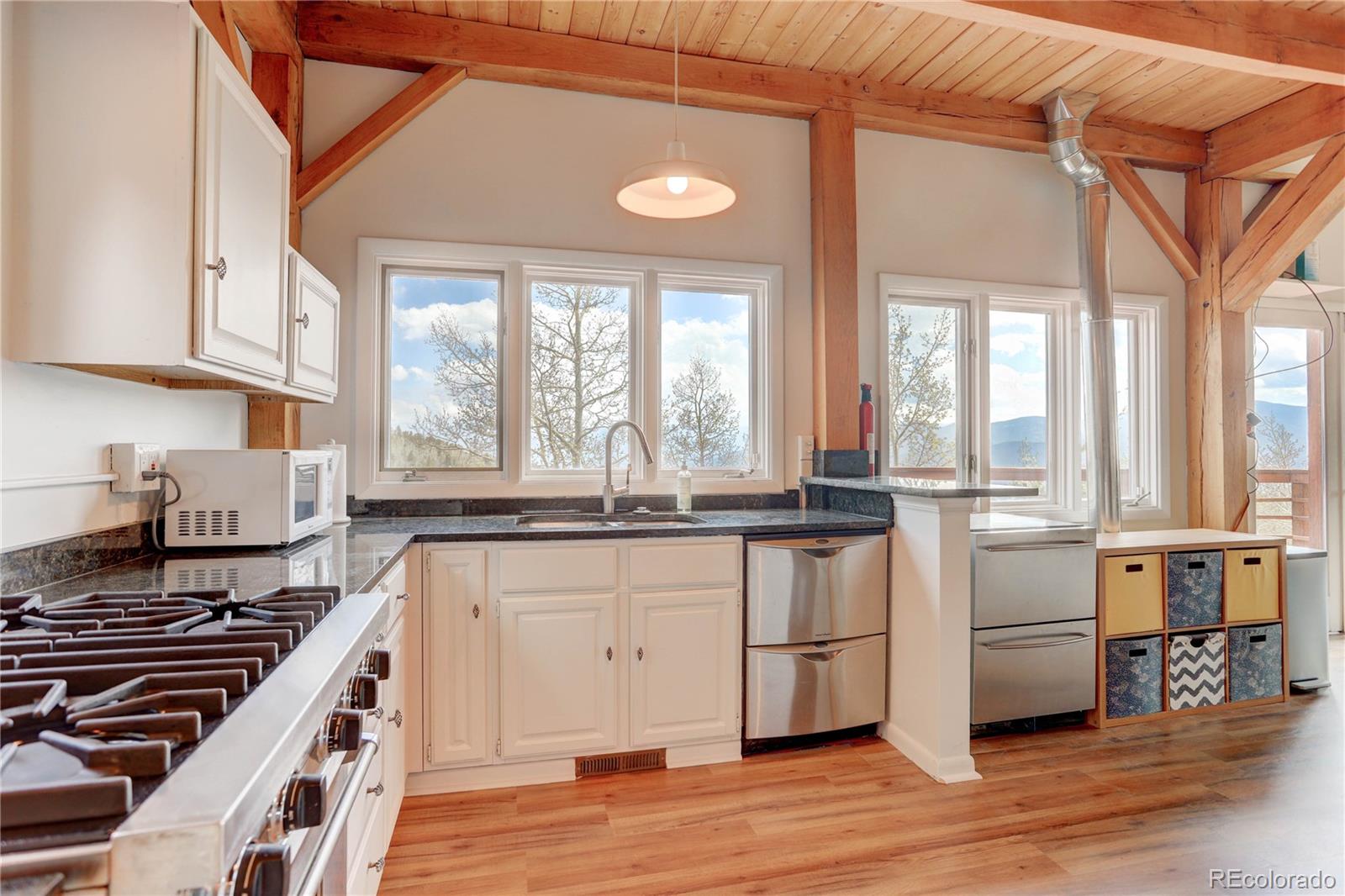 400 Alpine Way Idaho Springs, CO 80452 - Photo 9 of 40 a kitchen with stainless steel appliances granite countertop a stove and white cabinets