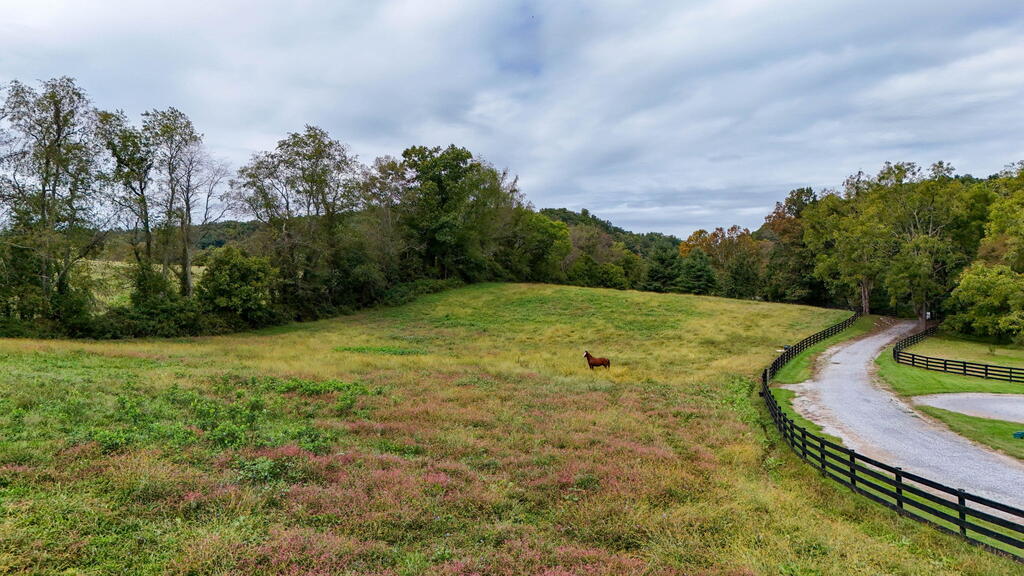 29458 Blue Spring Road Meadowview, VA 24361 - Photo 10 of 104 Gallery Image 10