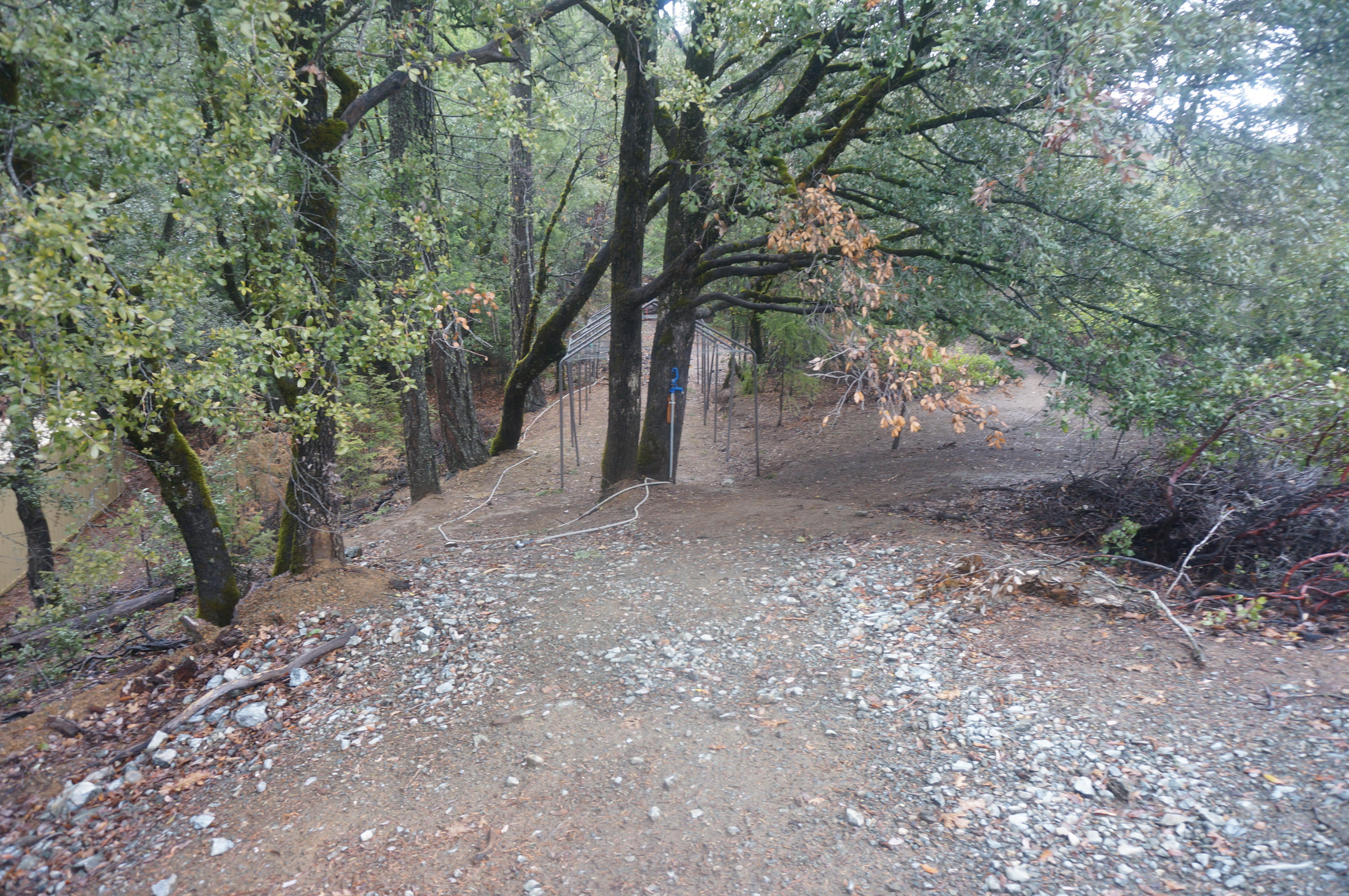 73.75 Acres On Mule Gulch Road Lewiston, CA 96052 - Photo 2 of 12 Gallery Image 2