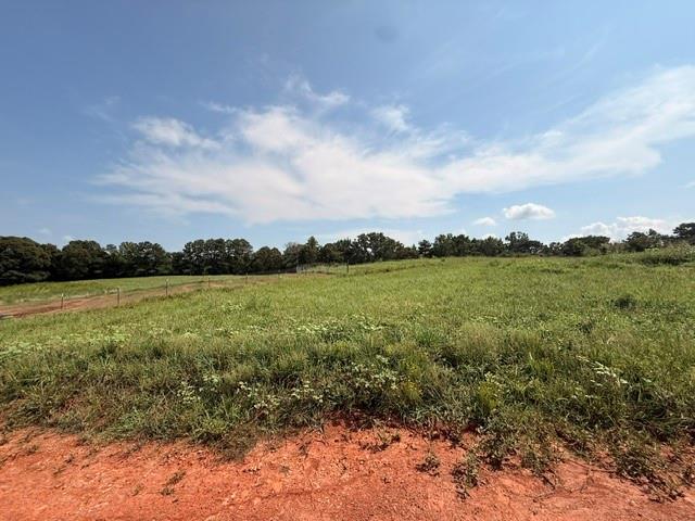 0 Rainey Road Temple, GA 30179 - Photo 14 of 31 Gallery Image 14