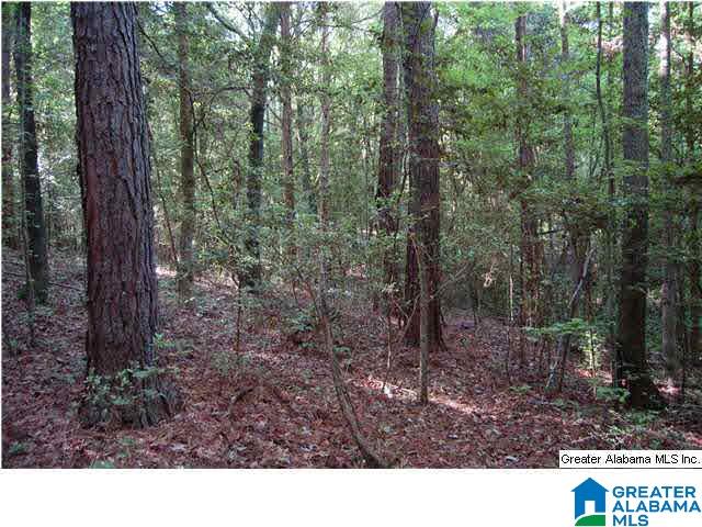 79 Northwest County Road, Unit 50 67 Prattville, AL 36067 - Photo 13 of 13